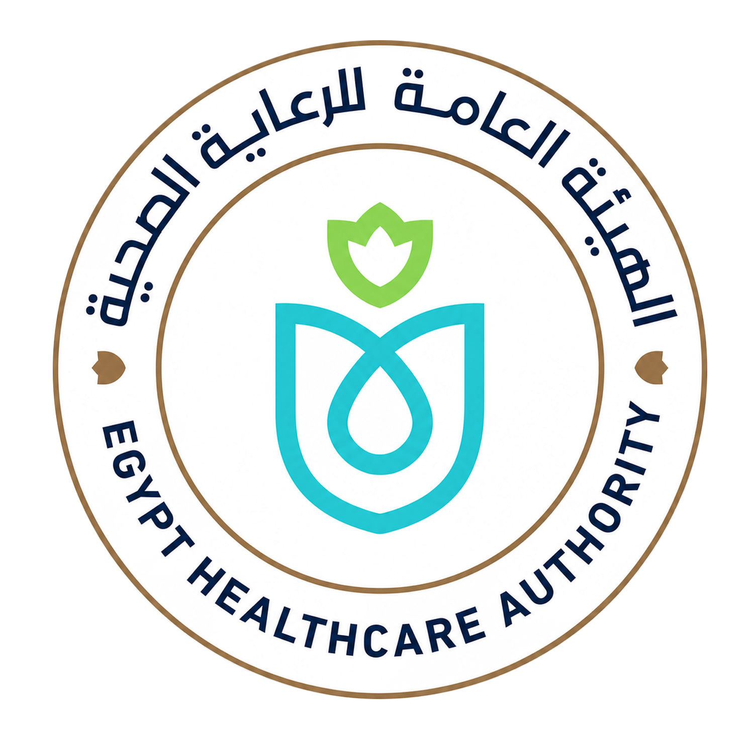 Egypt Healthcare Authority